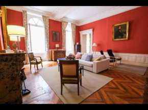 Bel Et Grand Appartement Au Coeur De Toulouse